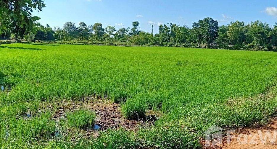 For sale land in Mueang Chaiyaphum, Chaiyaphum