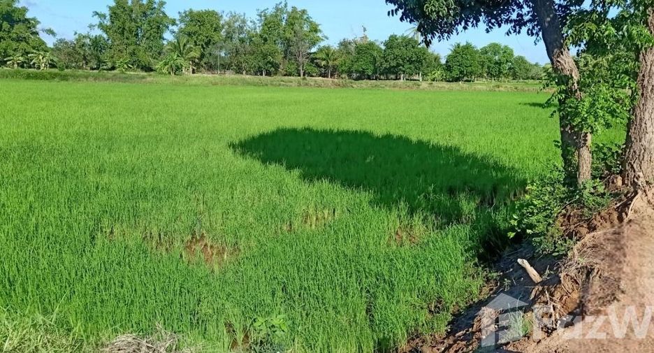 For sale land in Mueang Chaiyaphum, Chaiyaphum