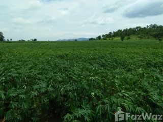 出售 土地 在 Nong Muang, Lop Buri