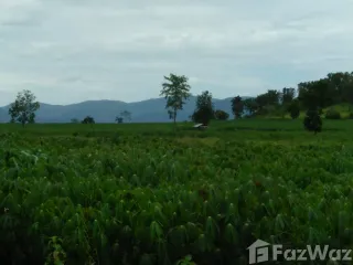 出售 土地 在 Nong Muang, Lop Buri