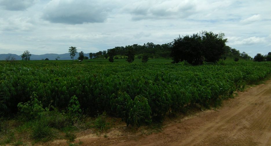 For sale land in Nong Muang, Lopburi