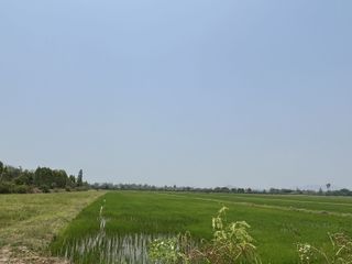 出售 土地 在 Ban Pong, Ratchaburi