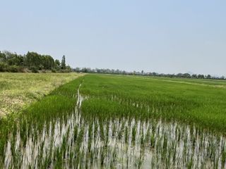 出售 土地 在 Ban Pong, Ratchaburi