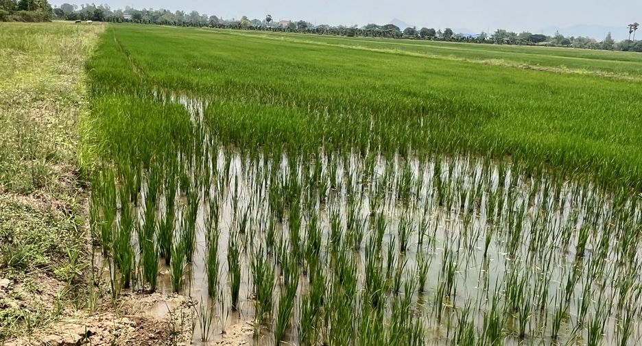 For sale land in Ban Pong, Ratchaburi