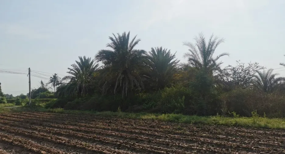 出售 2 卧室 独立屋 在 Tha Muang, Kanchanaburi