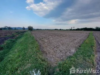 For sale land in Pak Tho, Ratchaburi