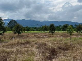 ขาย ที่ดิน ใน มะขาม, จันทบุรี
