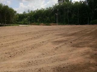 出售 土地 在 Ban Khai, Rayong