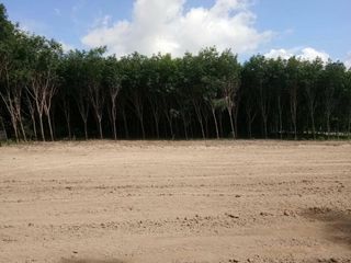 出售 土地 在 Ban Khai, Rayong