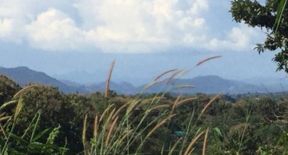 For sale land in Muang Nan, Nan
