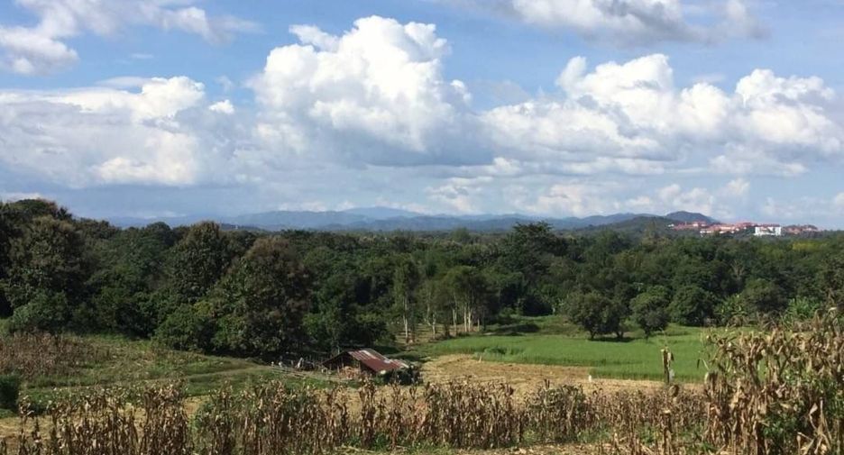 For sale land in Muang Nan, Nan