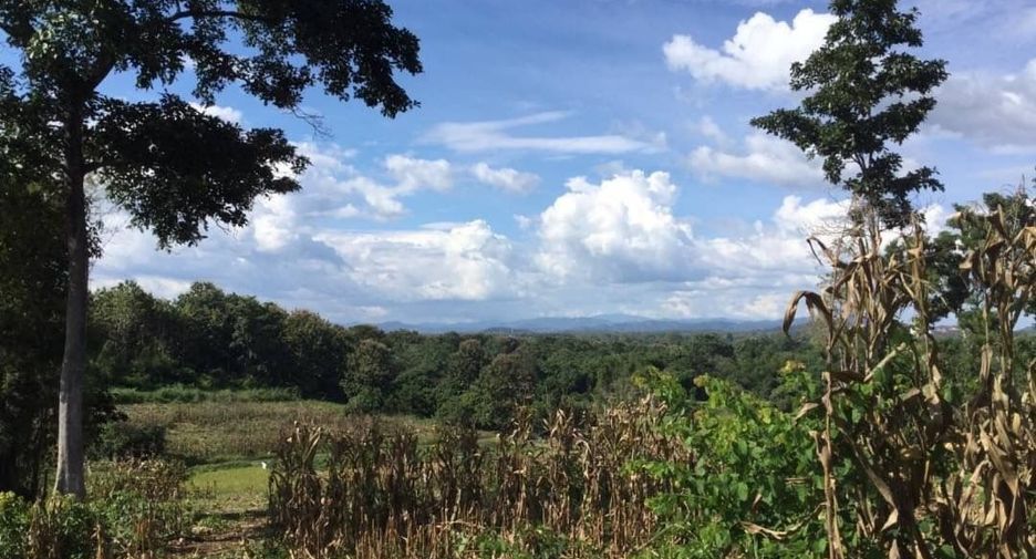 For sale land in Muang Nan, Nan