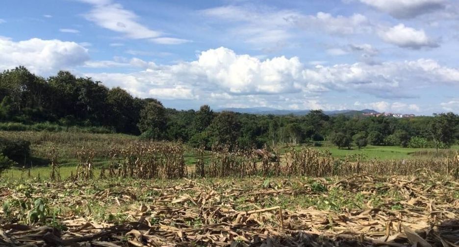 For sale land in Muang Nan, Nan