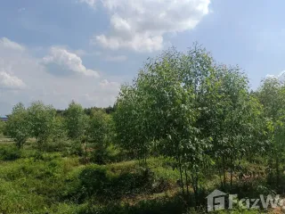Продажа Участок в Si Maha Phot, Прачинбури