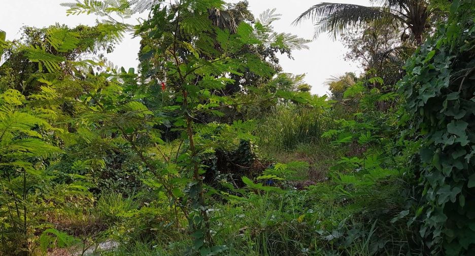 Grundstück zum Kauf in Phutthamonthon, Nakhon Pathom