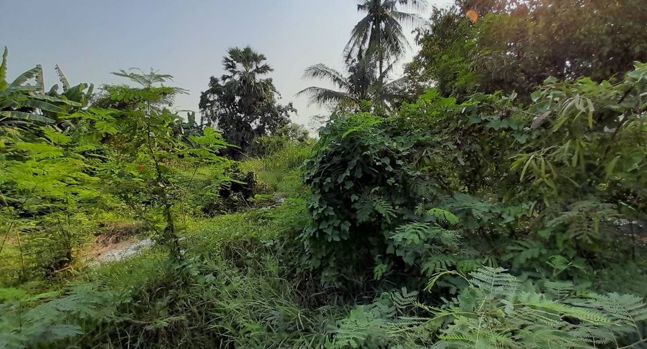 Grundstück zum Kauf in Phutthamonthon, Nakhon Pathom