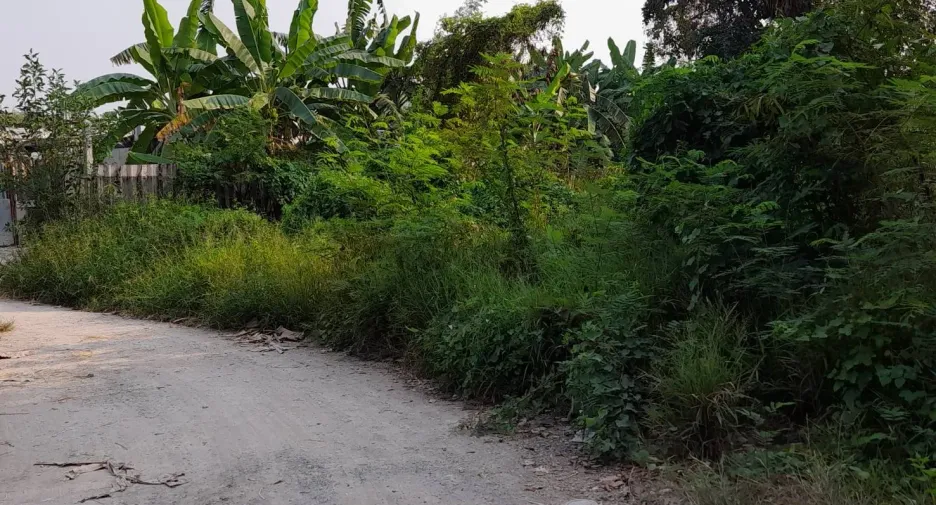 Grundstück zum Kauf in Phutthamonthon, Nakhon Pathom