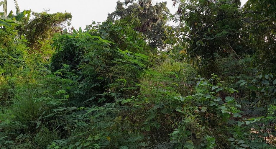 Grundstück zum Kauf in Phutthamonthon, Nakhon Pathom