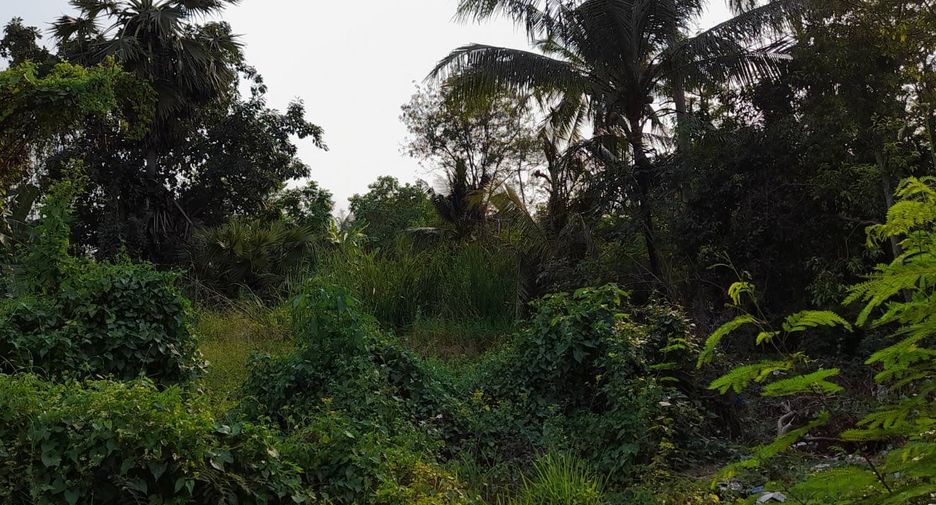 Grundstück zum Kauf in Phutthamonthon, Nakhon Pathom