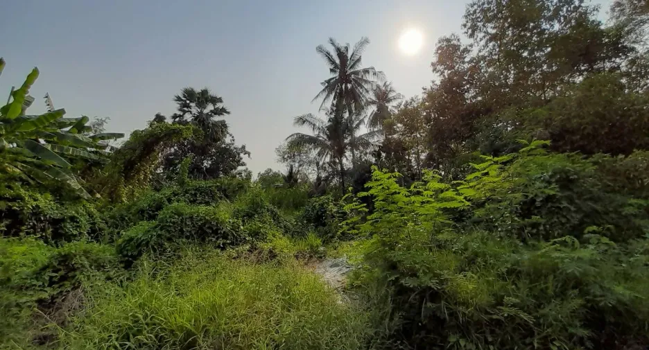 Grundstück zum Kauf in Phutthamonthon, Nakhon Pathom