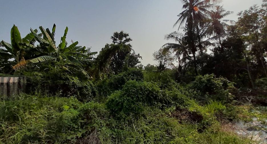 Grundstück zum Kauf in Phutthamonthon, Nakhon Pathom