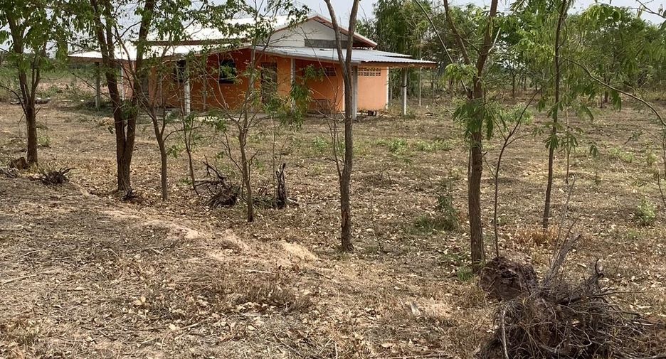 For sale land in Si Thep, Phetchabun