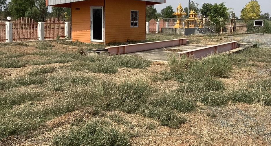 For sale land in Si Thep, Phetchabun