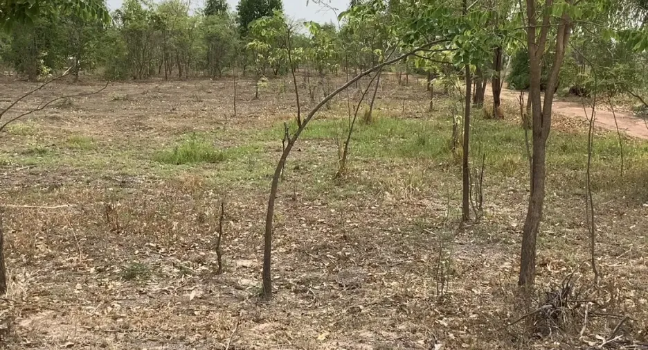 For sale land in Si Thep, Phetchabun