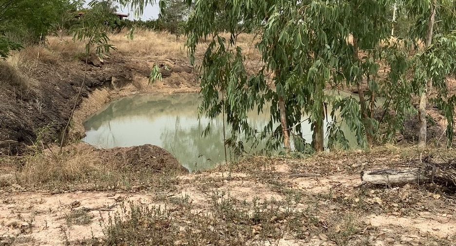 For sale land in Si Thep, Phetchabun