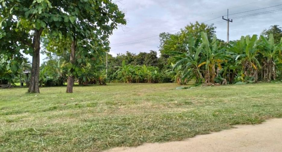 Grundstück zum Kauf in Phan, Chiang Rai