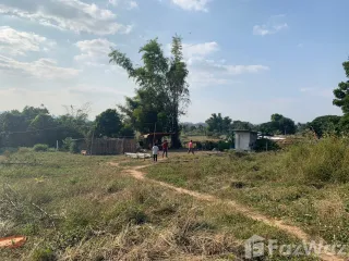 出售 土地 在 Chiang Khan, Loei