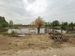 出售 土地 在 Hankha, Chai Nat