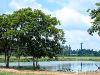 出售 土地 在 Kabin Buri, Prachin Buri