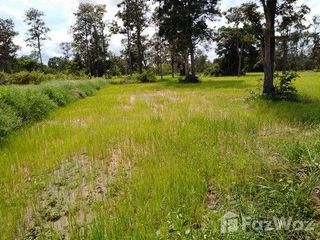 Terreno en venta en Chonnabot, Khon Kaen