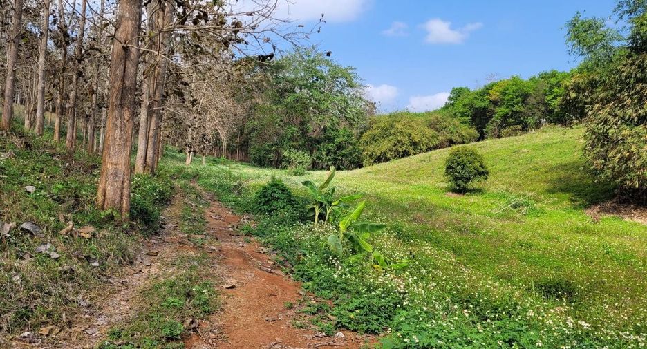 À vendre terrain à Mae Chan, Chiang Rai