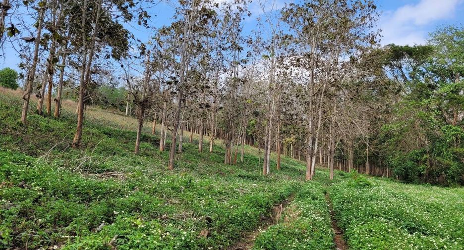 À vendre terrain à Mae Chan, Chiang Rai