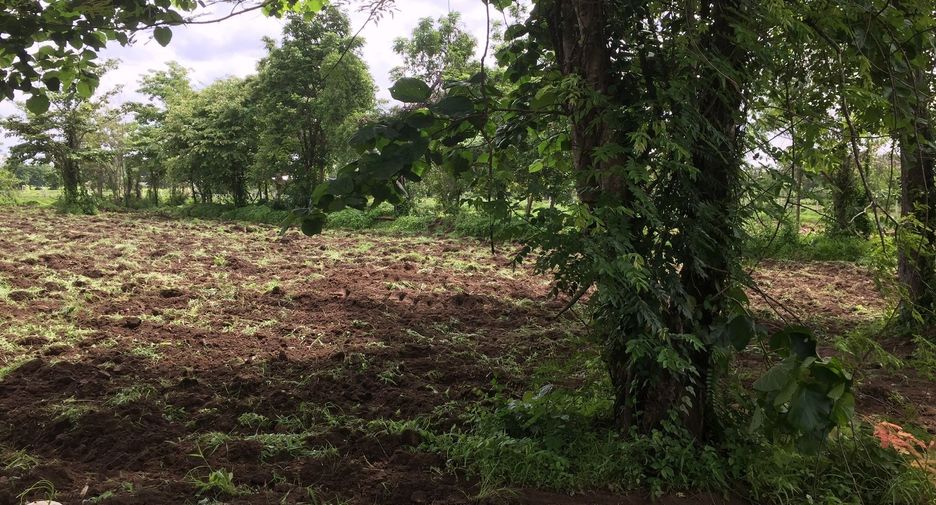 Terreno en venta en Mueang Buriram, Buriram