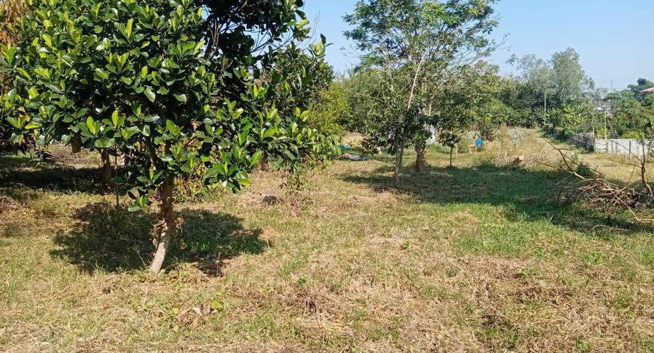 Haus zum Kauf mit 4 Zimmer in Mueang Chiang Rai, Chiang Rai