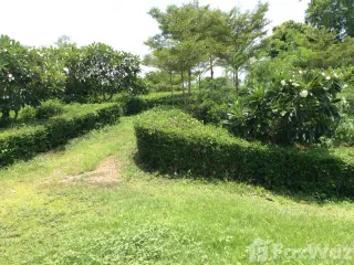 À vendre terrain à Sai Yok, Kanchanaburi