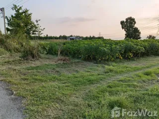 Продажа Участок в Ban Pong, Ратбури