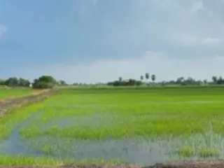 À vendre terrain à Wiset Chai Chan, Ang Thong