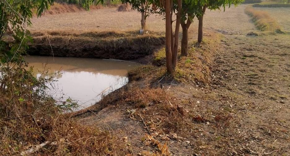 Grundstück zum Kauf in Kuchinarai, Kalasin