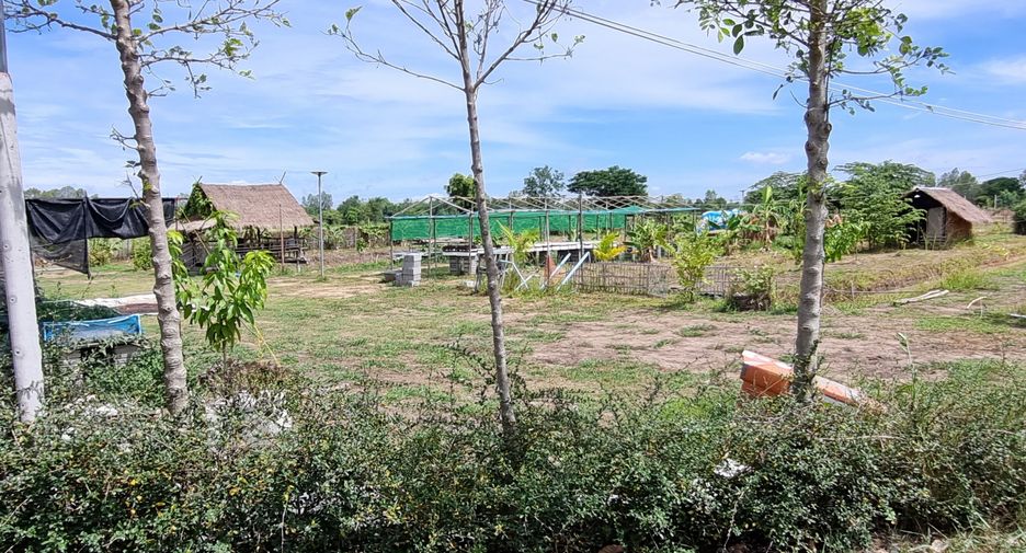 For sale land in Mueang Phichit, Phichit