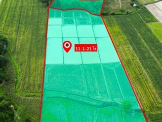 For sale land in Mae Chan, Chiang Rai