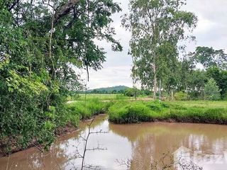 出售 土地 在 Hankha, Chai Nat