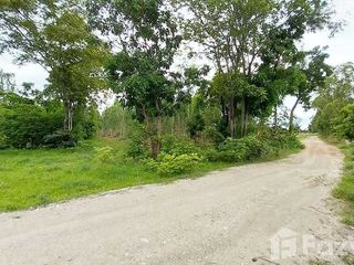 出售 土地 在 Hankha, Chai Nat