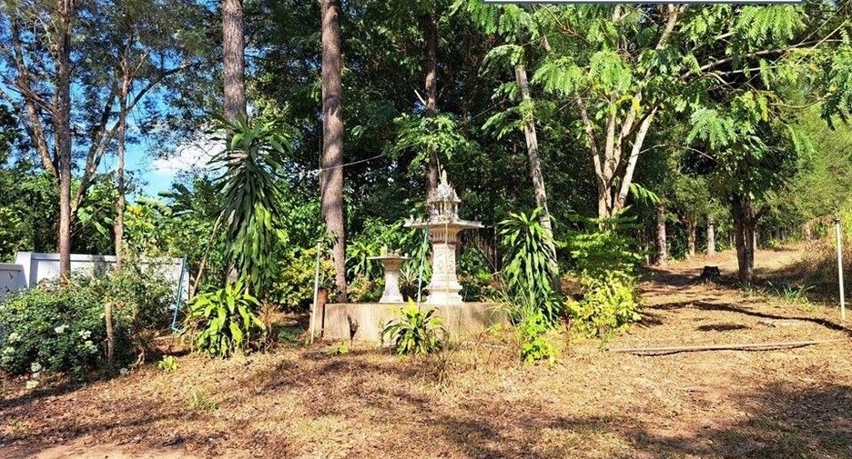 For sale land in Fang, Chiang Mai