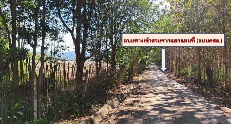 For sale land in Fang, Chiang Mai