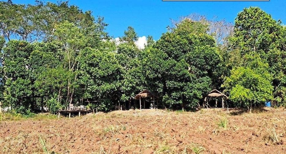 For sale land in Fang, Chiang Mai
