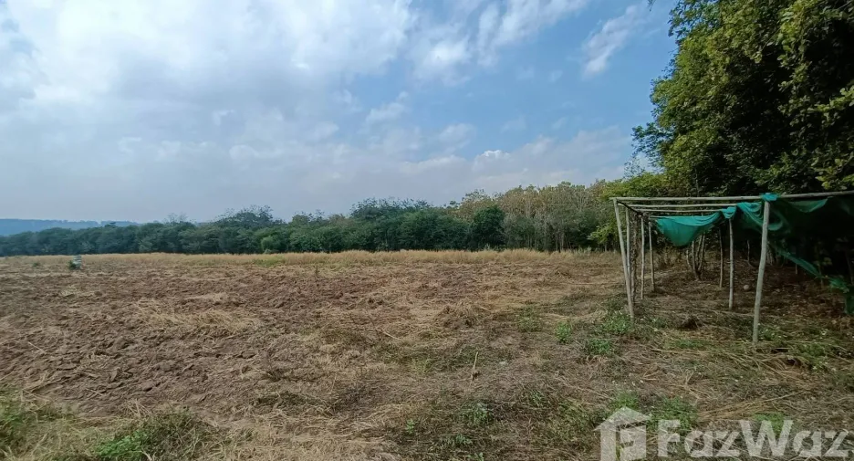 For sale land in Fang, Chiang Mai